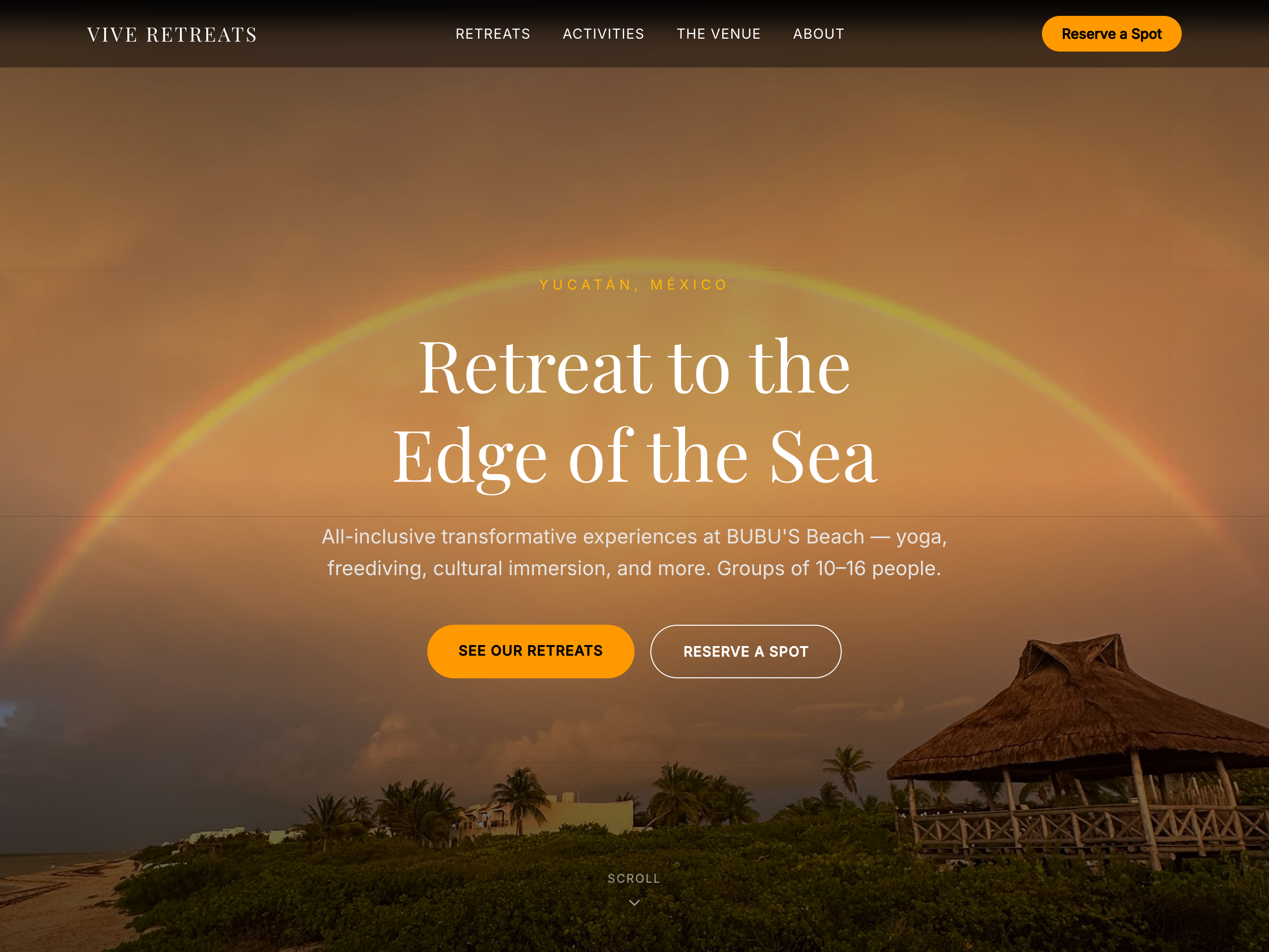 Preview of the Vive Retreats website